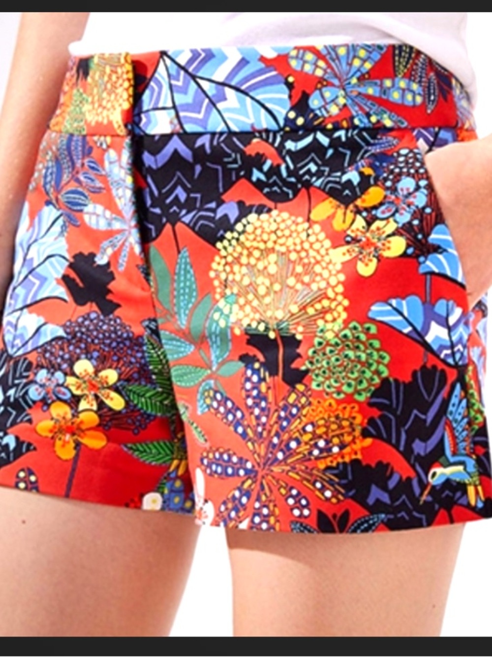 Loft Women’s Vibrant Tahitian Hummingbird Botanical High-Waisted Shorts 8 NWOT